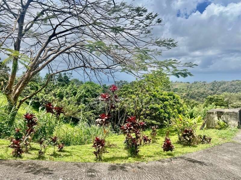 Appartement à SCHOELCHER