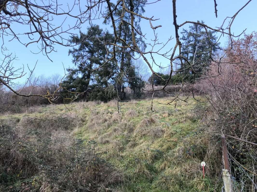 Terrain à BEAUJEU