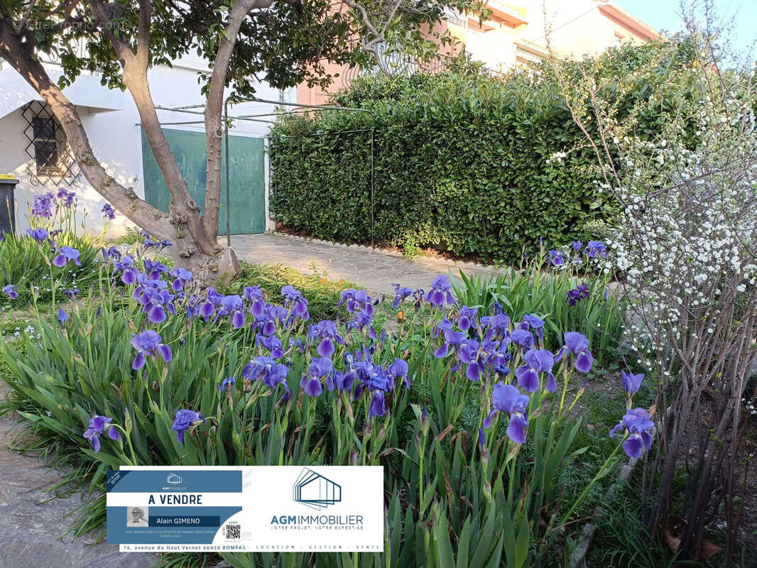 Photo 2 - Maison à PERPIGNAN