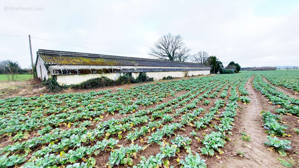 Commerce à CHAMPGENETEUX
