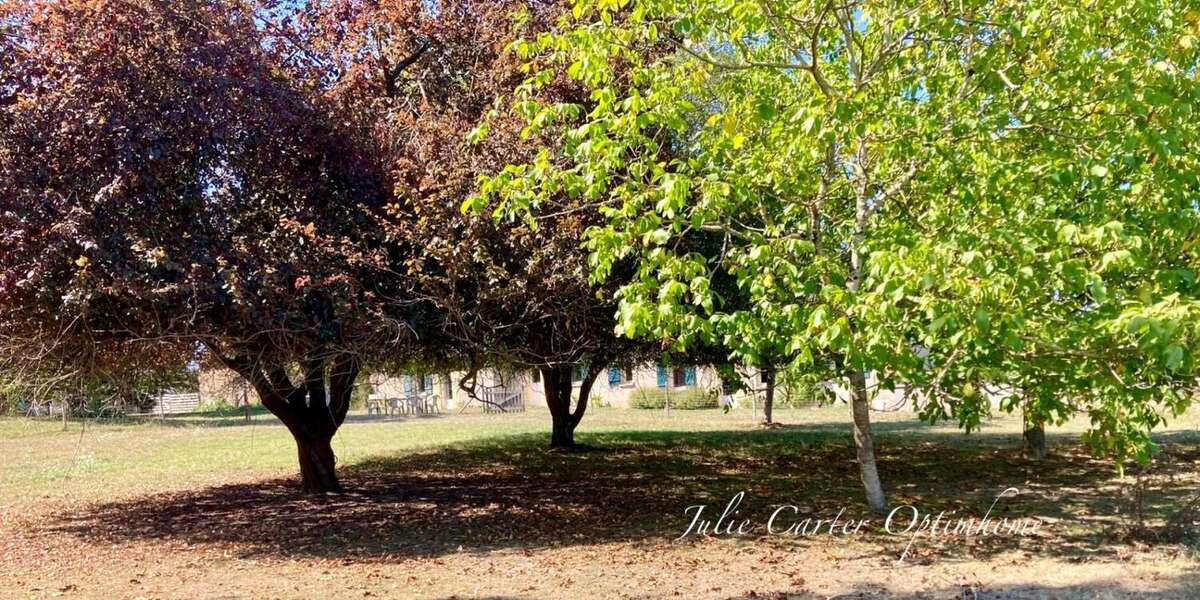 Propriété équestre  (72) - photo 12