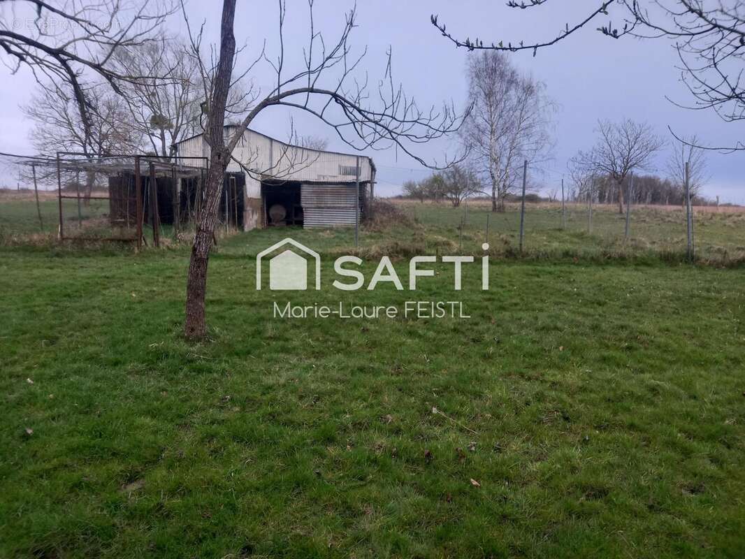 Photo 2 - Maison à BETZ-LE-CHATEAU