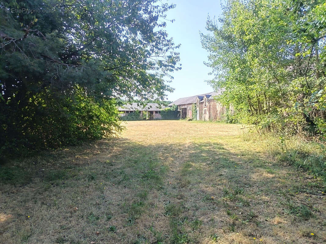 Manoir Veuzain Sur Loire 14 pièce(s) 366.85 m2 - photo 9