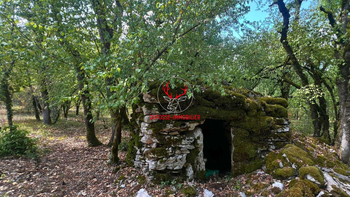 Propriété de 7ha au coeur du Quercy - photo 14