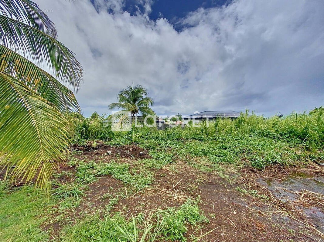 Terrain à CAPESTERRE-BELLE-EAU