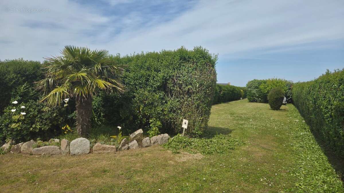 Terrain à SANTEC