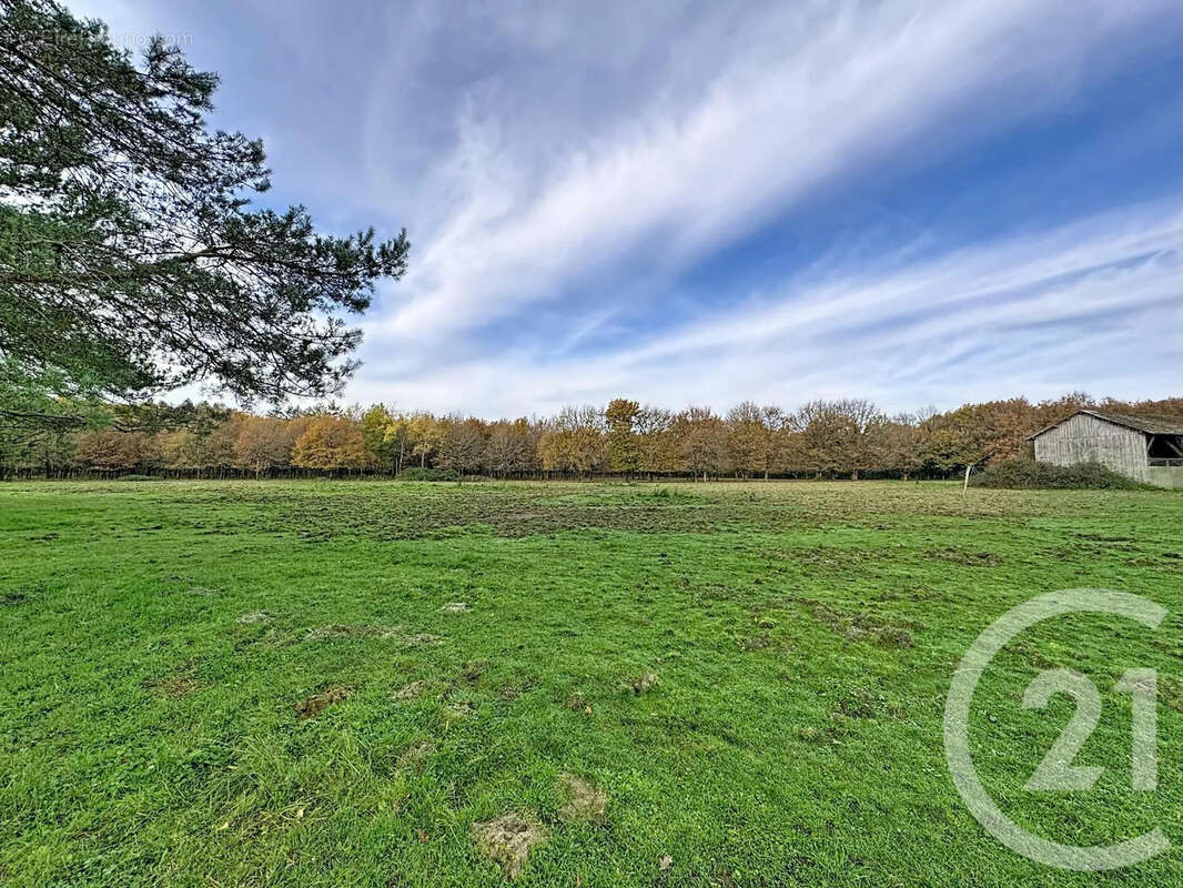 Maison à MENESTREAU-EN-VILLETTE