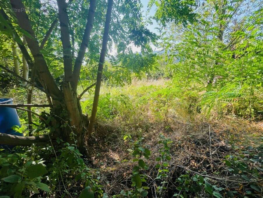 Terrain à CORNEILLA-DE-CONFLENT