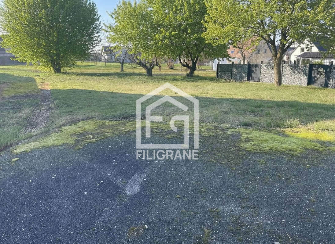 Terrain à SAESSOLSHEIM