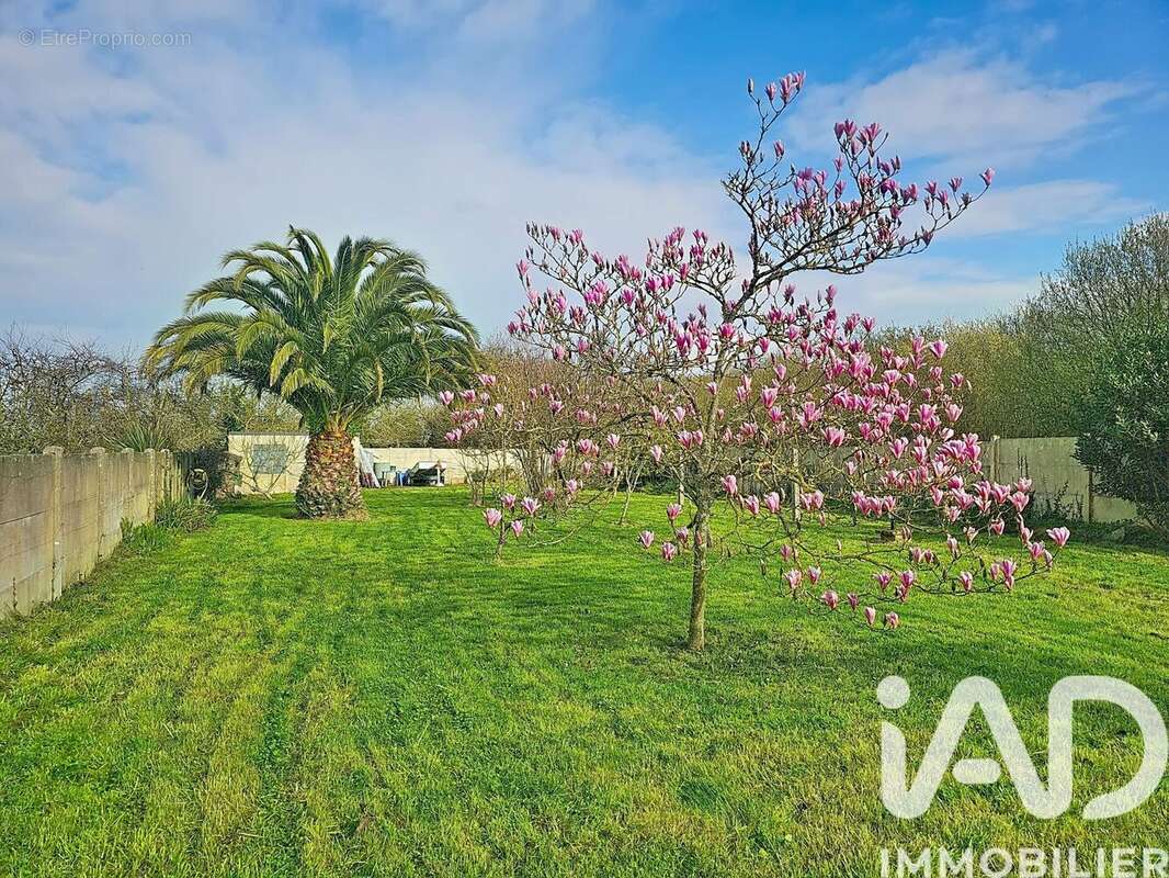 Photo 2 - Maison à PAIMPOL
