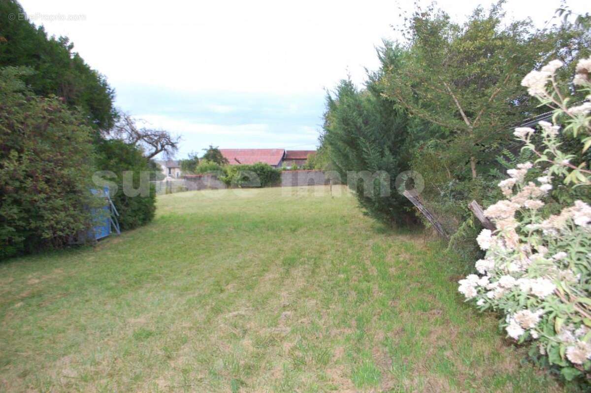 Maison - 7 pièce(s) - 175 m2 - photo 15