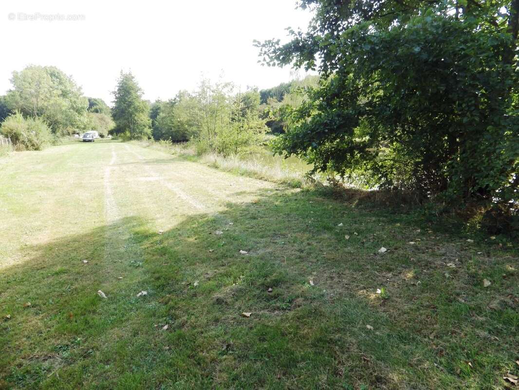 Terrain à VILLEREAU