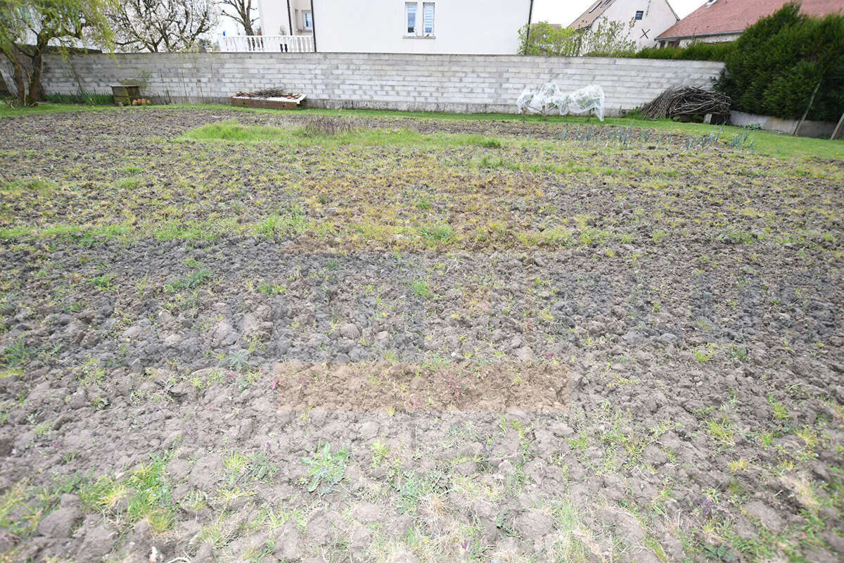 Terrain à BOIS-D&#039;ARCY