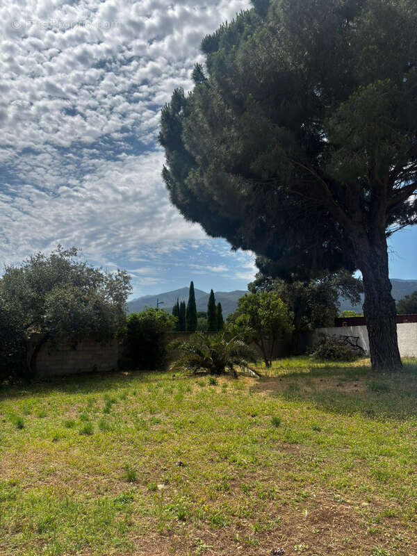 Superbe Villa Plain-Pied 4 Faces   100 m2 habitables   Argelès-sur-Mer (Côté Village) - photo 4
