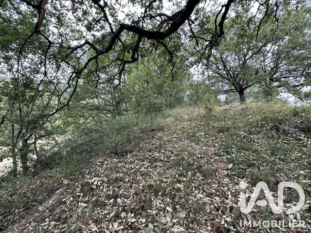 Terrain 2835 m² à Mercuer  - photo 5
