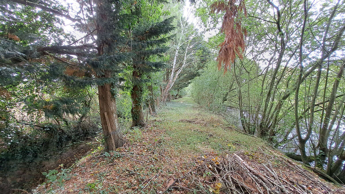 Terrain à AMAILLOUX