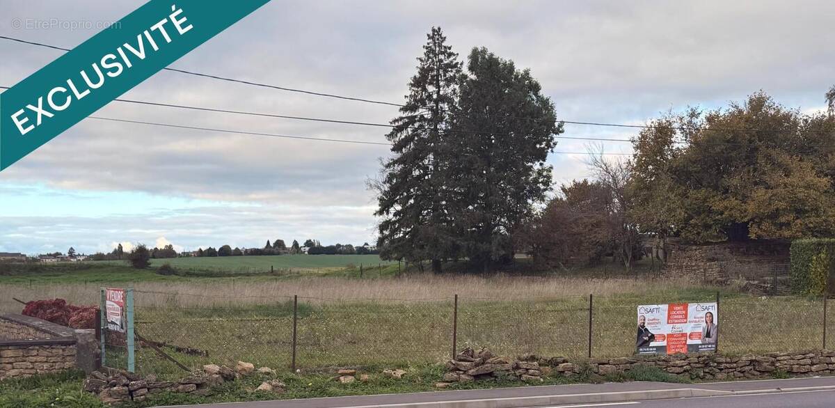 Photo 1 - Terrain à COSNES-ET-ROMAIN