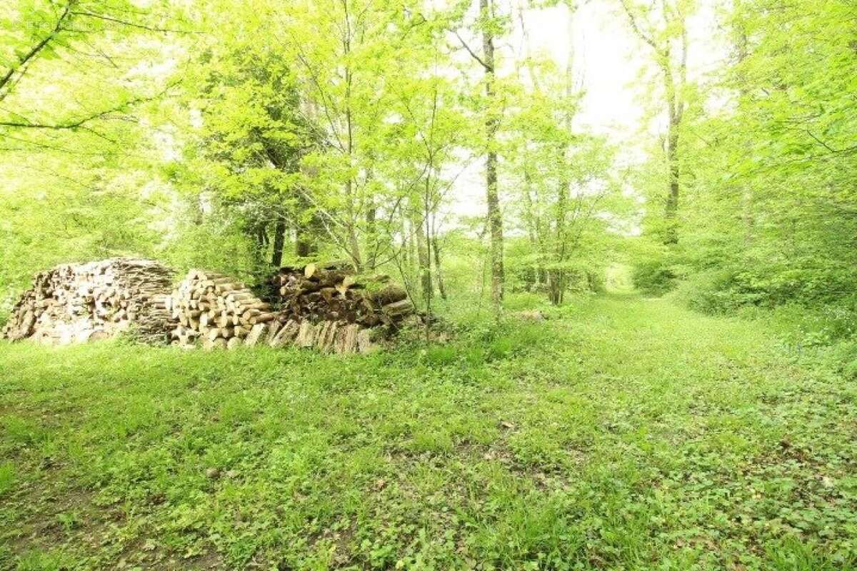 Photo 9 - Maison à LA FERTE-SOUS-JOUARRE