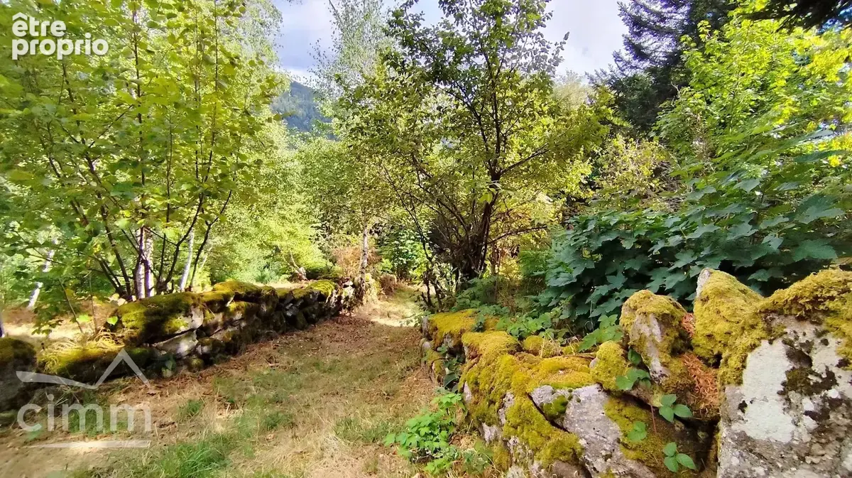 Maison au milieu des bois - photo 11