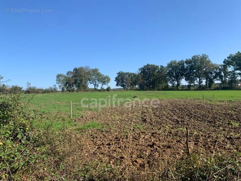 Maison à SAINT-GERMAIN-LAVAL
