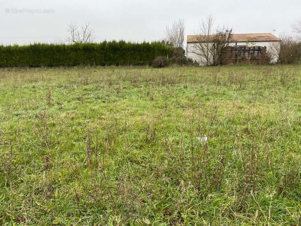 Terrain 989 m² à Champagne  - photo 2