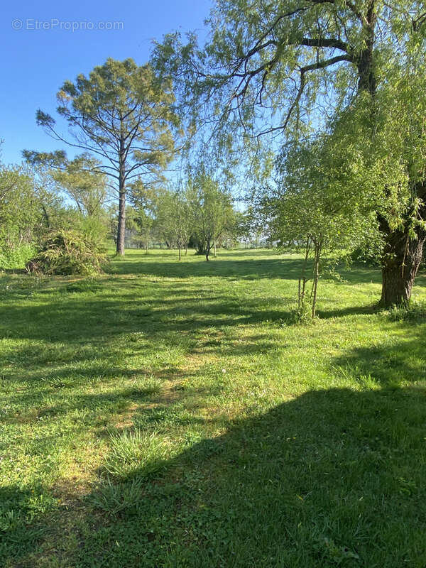 Maison à SAINT-BENIN-D&#039;AZY