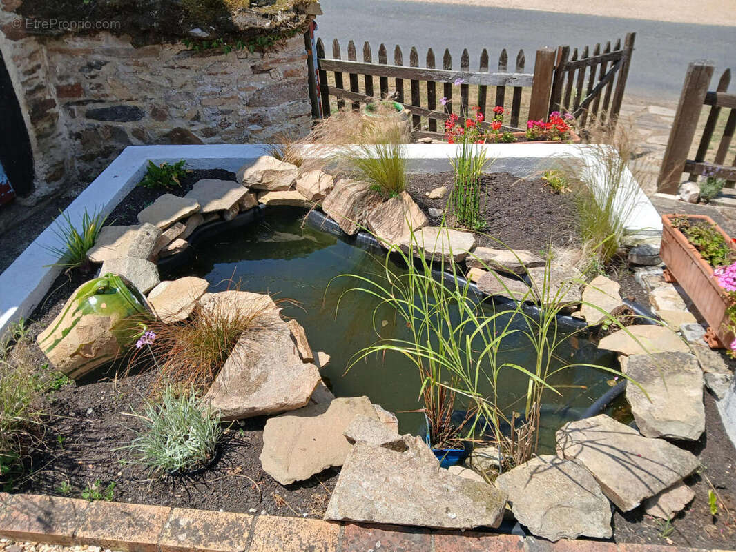 Pond - Maison à JUMILHAC-LE-GRAND