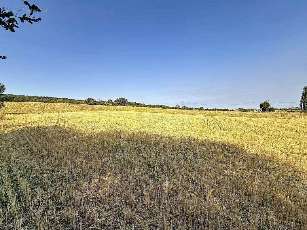 Terrain 1200 m² à Segreville  - photo 2