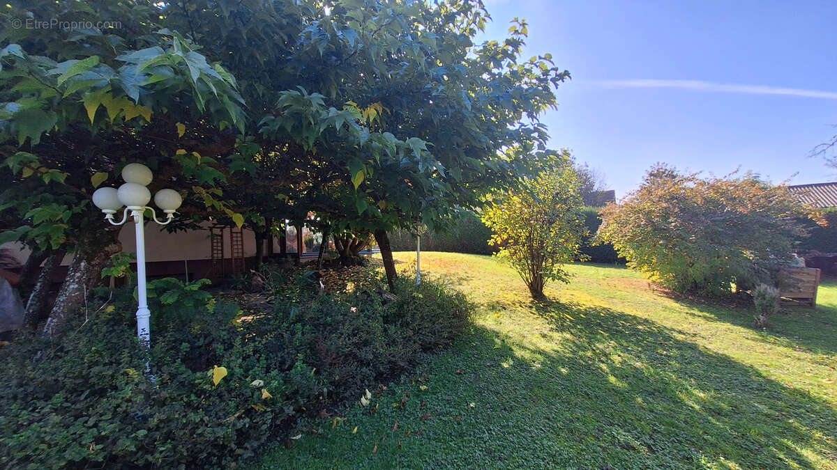 Maison à ZAESSINGUE