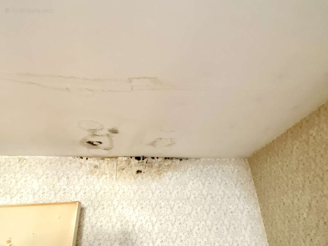 Idéal investisseur - photo 42