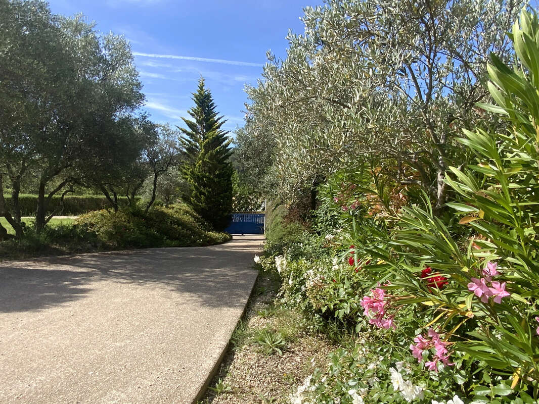 Villa de plain pied au calme , terrain avec piscine et vue dégagée. - photo 11