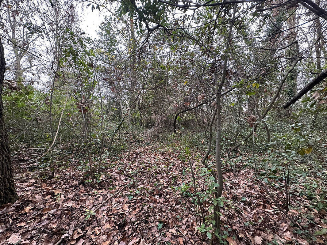 Terrain à VILLEMOUSTAUSSOU