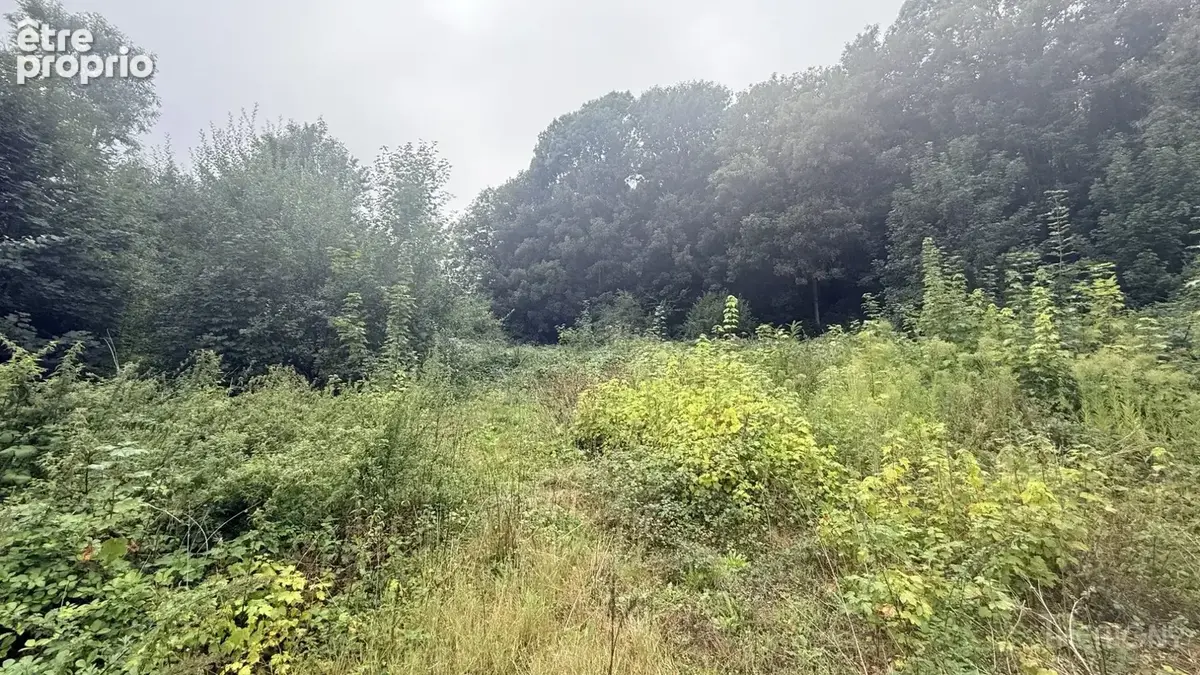 Terrain à FRIVILLE-ESCARBOTIN