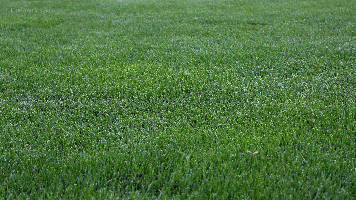 Terrain à GUJAN-MESTRAS