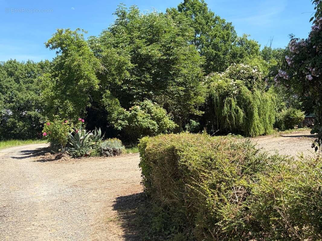 PLAISANCE (32); AUTHENTIQUE MAISON GASCONNE 300M2 dans son jus, un peu cachée, 1HA grandes dependances - photo 19