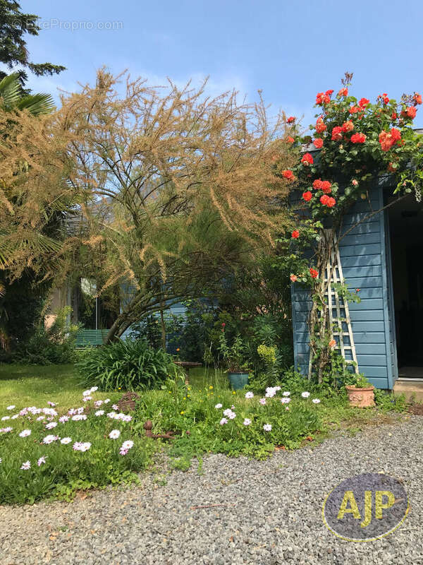 Maison à BAIN-DE-BRETAGNE