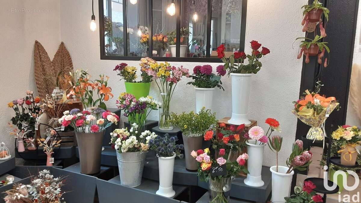 Photo 4 - Commerce à DIJON