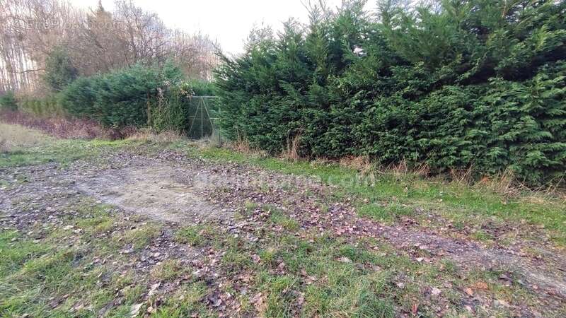 Terrain à MEZIERES-SUR-OISE