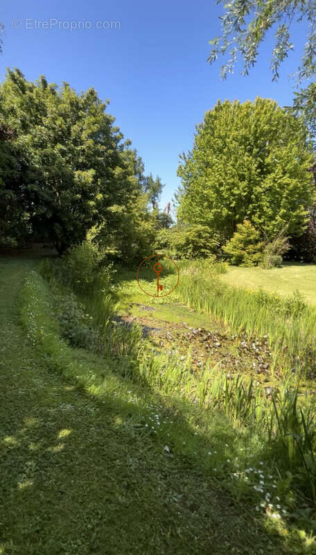 Maison à VATTETOT-SUR-MER