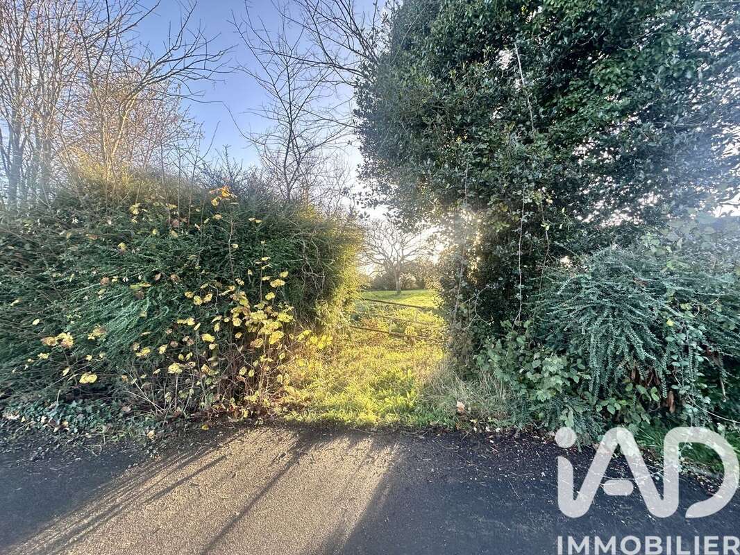 Photo 4 - Terrain à PICAUVILLE