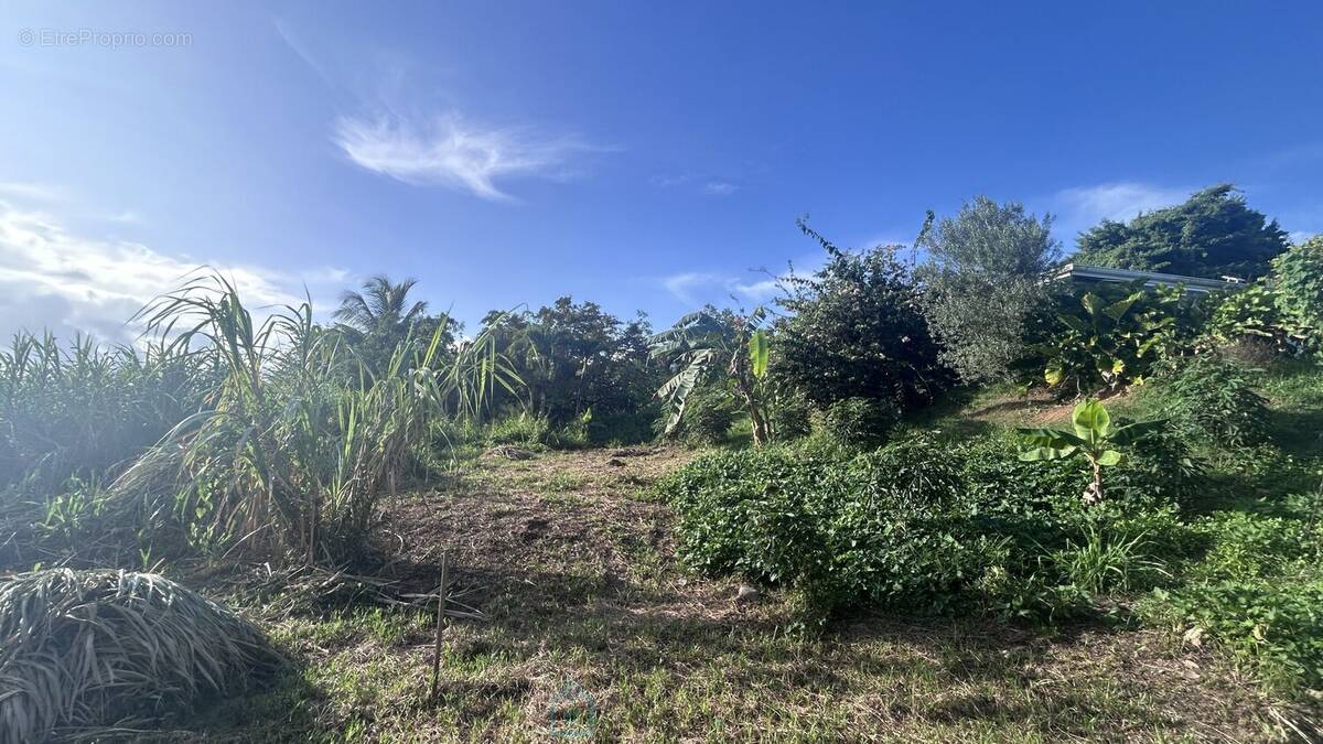 Terrain à RIVIERE-SALEE