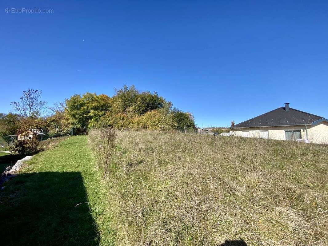 Photo 4 - Terrain à HAUTEVILLE-LOMPNES
