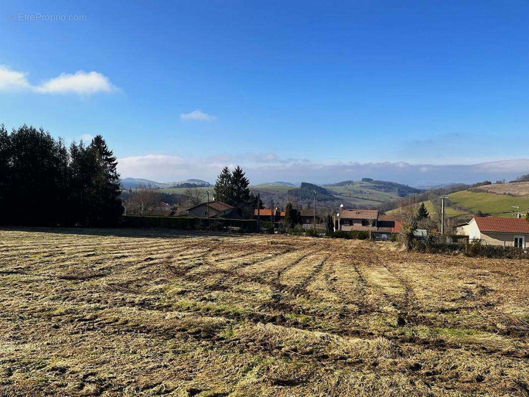Terrain à VIOLAY