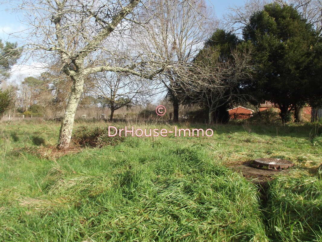 Terrain à CISSAC-MEDOC