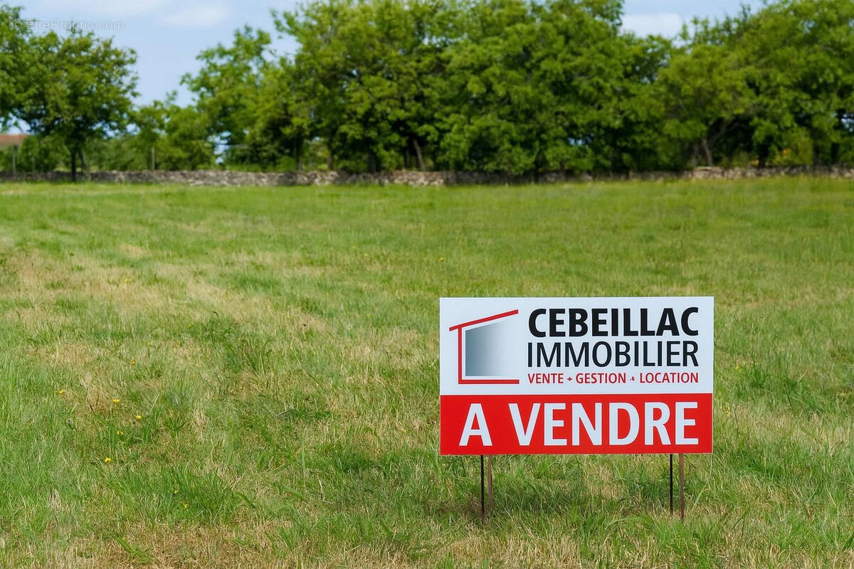 Terrain à MEZEL