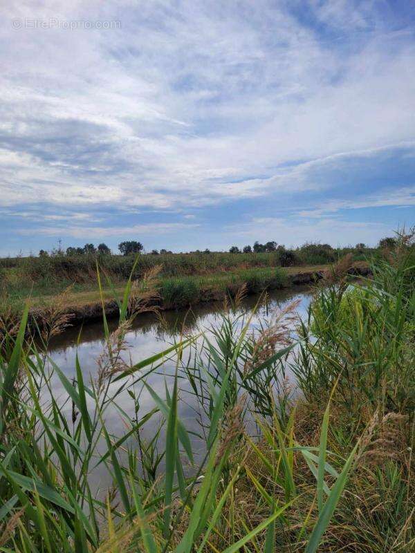 Terrain à SAINT-BONNET-SUR-GIRONDE