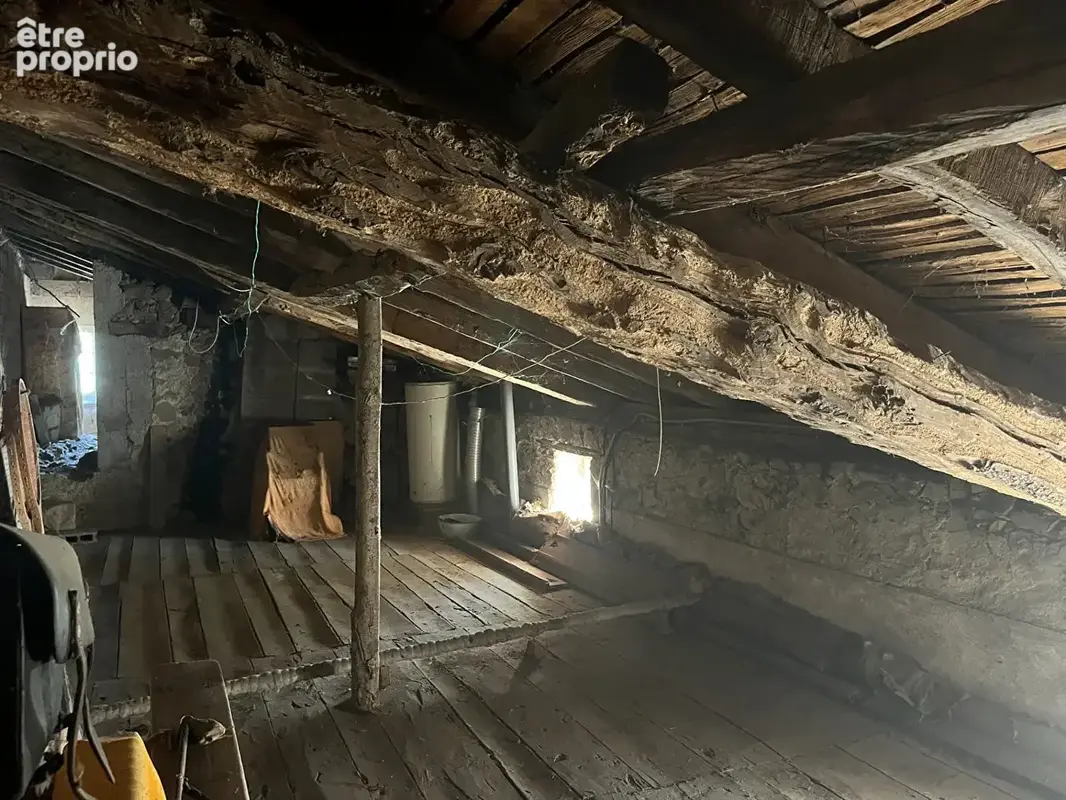Chirac - maison avec grange, terrain et source d'eau - petite exploitation - photo 6
