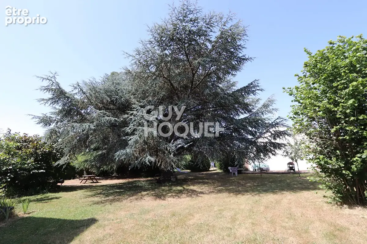 Maison Joue Les Tours 5 pièce(s) - photo 14