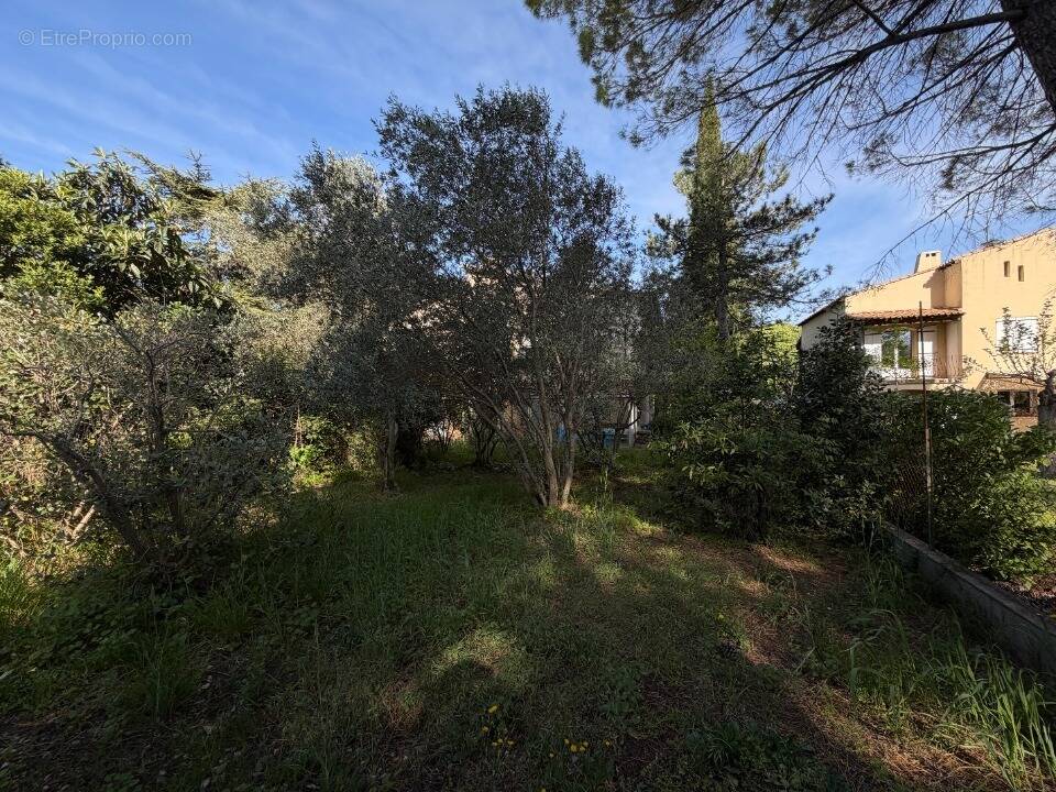 Terrain à MONTPELLIER