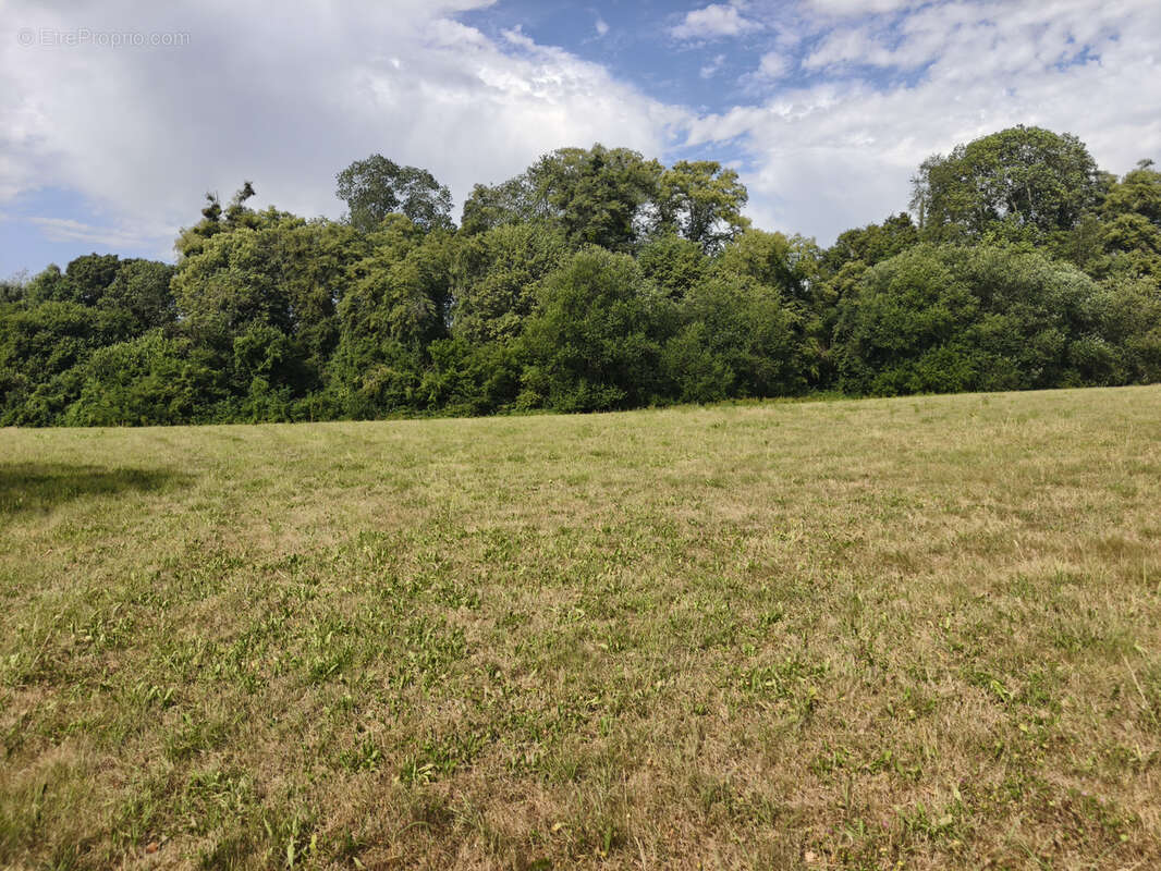 Authentique propriété normande sur environ 6 hectares/ havre de paix - photo 32